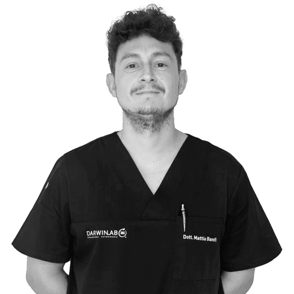 Mattia Banfi